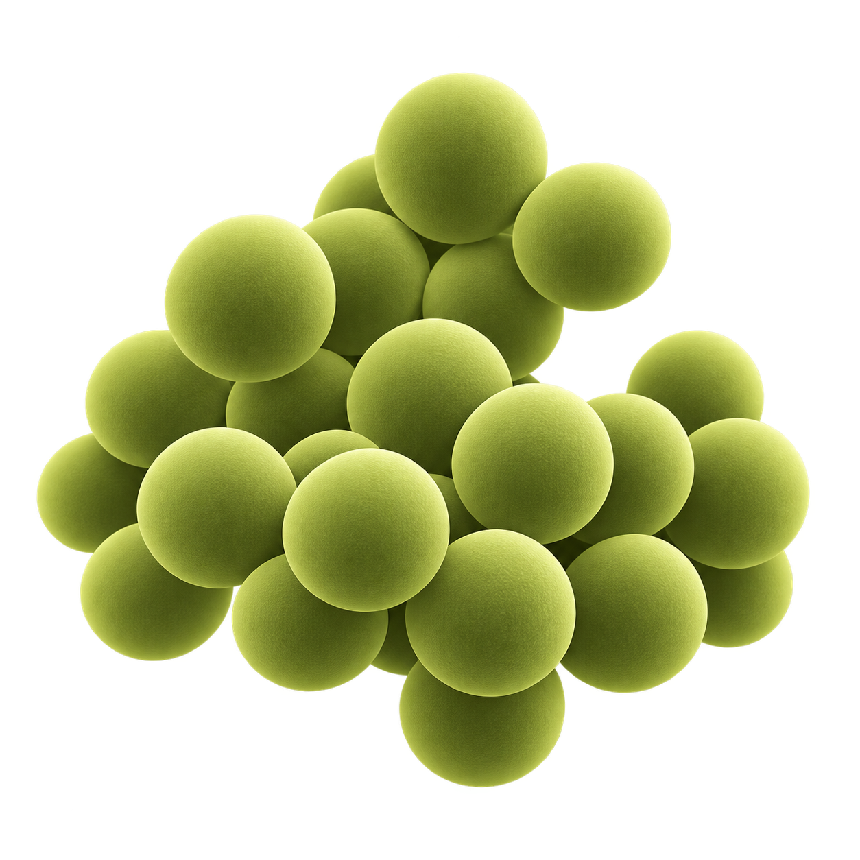 Staphylococcus bacteria